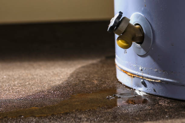 Best Water damage restoration experts  in Quarryville, PA