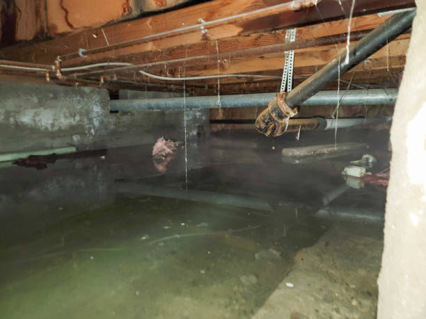 Best Water damage contractors near me  in Quarryville, PA