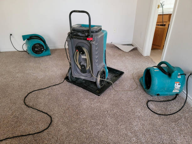 Water damage restoration mold remediation in Quarryville, PA