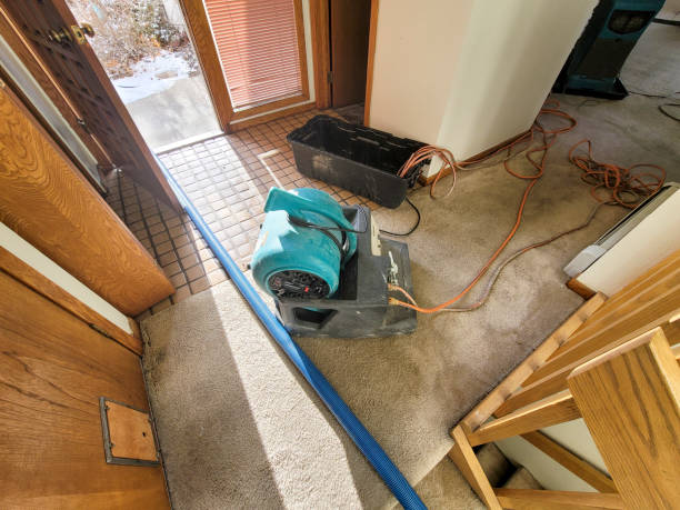 Best Carpet water damage restoration  in Quarryville, PA