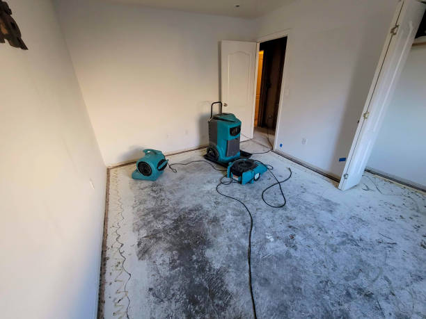 Best Flood damage cleanup  in Quarryville, PA