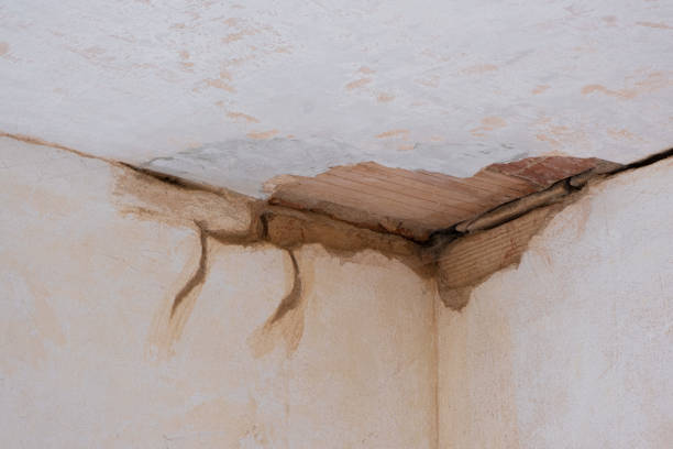 Best Flooded house restoration  in Quarryville, PA