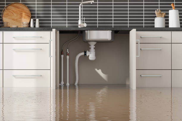 Best Commercial water damage restoration  in Quarryville, PA