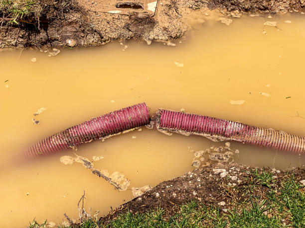 Best Sewage cleanup and water damage restoration  in Quarryville, PA