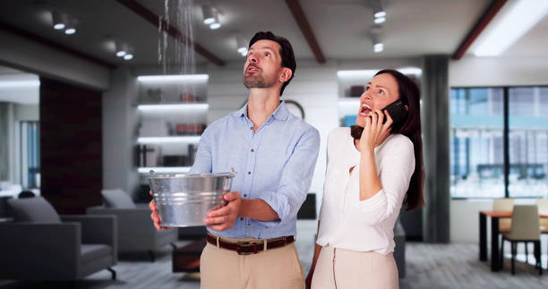 Best Water damage restoration mold remediation  in Quarryville, PA