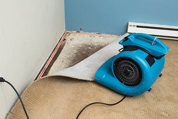 Best Local water damage restoration  in Quarryville, PA